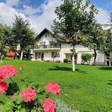 Pensiunea Amarilis Hotel Moieciu de Jos Exterior photo